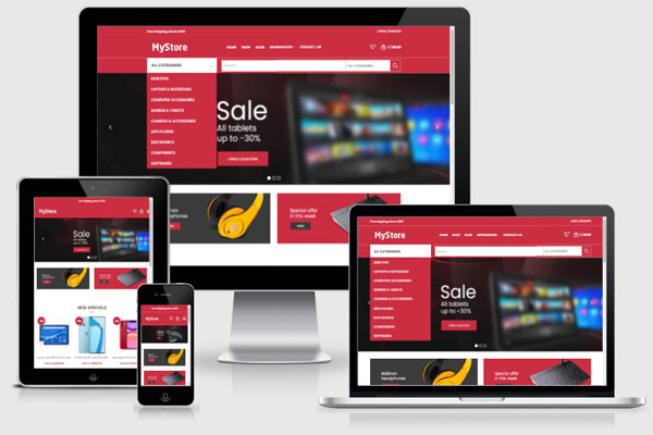 Ecommerce Website Development ,